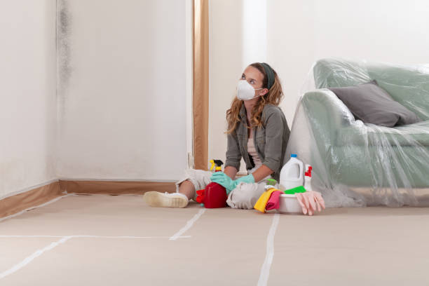 Reliable Bathroom Mold Removal contractor in Seaford, VA by WQB Mold Removal